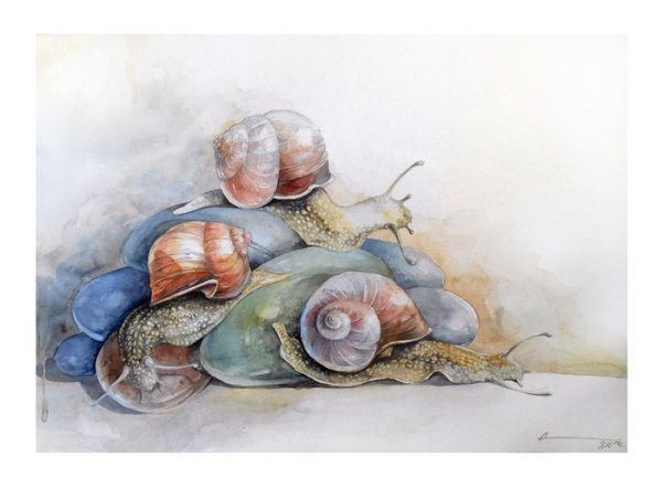 Улитка акварелью
