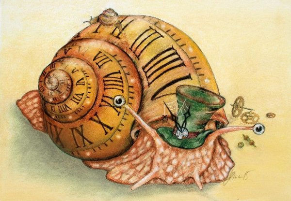 Улитка иллюстрация