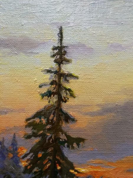 Ель живопись