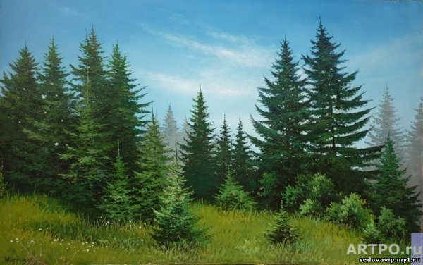 Большие и маленькие ели