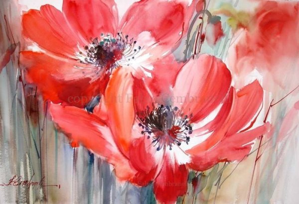 Фабио Сембранелли акварель маки