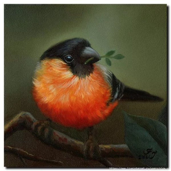 Птицы живопись