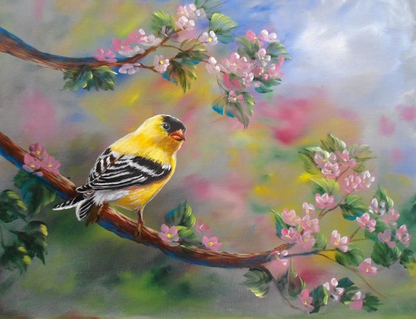 Красивые картины с птицами