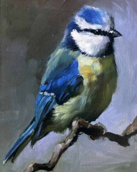 Птицы живопись маслом