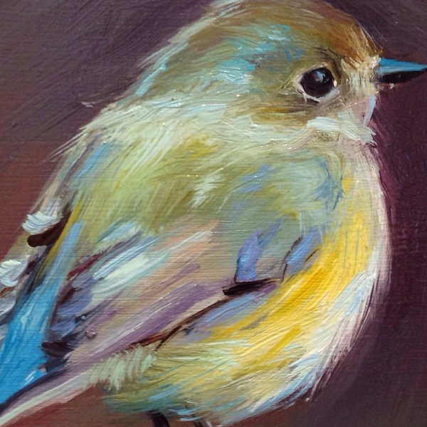 Птицы масляной пастелью