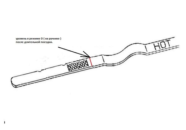 Щуп АКПП Nissan Altima 2013