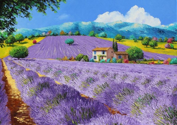 Жан Марк Янячик Лавандовое поле