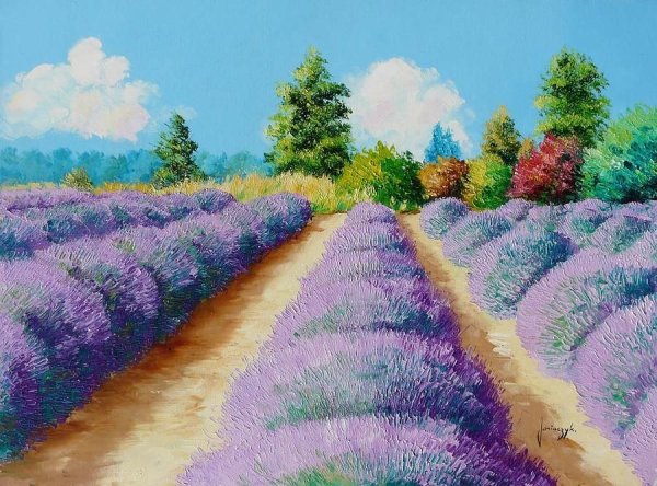 Жан Марк Жаньячик картины Лаванда