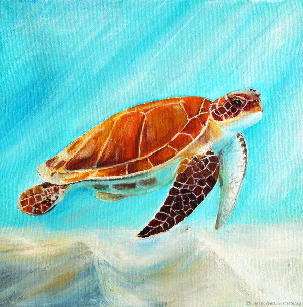 Морская черепаха картина