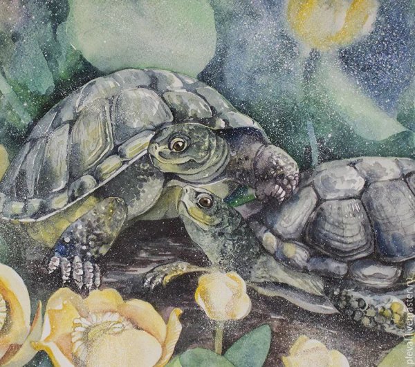 Черепахыч Савва