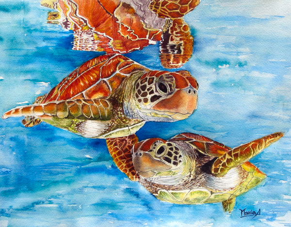 Черепаха живопись