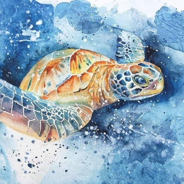 Морская черепаха арт
