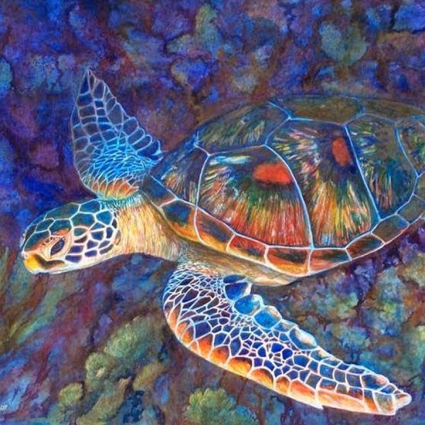 Гиперреализм черепаха живопись морская