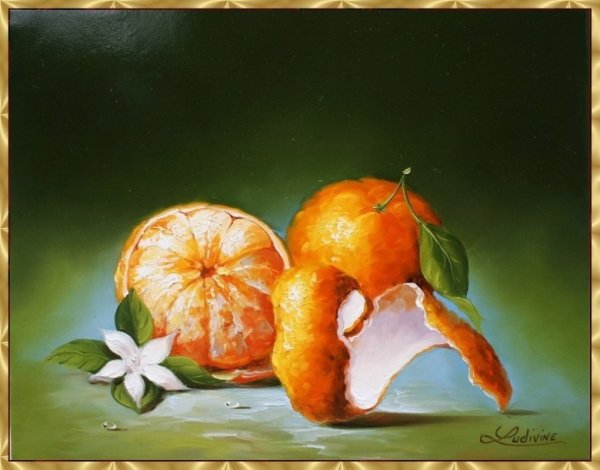 Художник Людивин Короминас