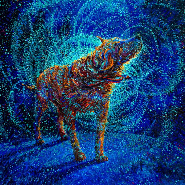 Айрис Скотт (Iris Scott)