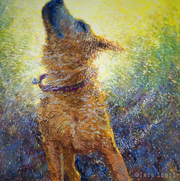 Айрис Скотт (Iris Scott)