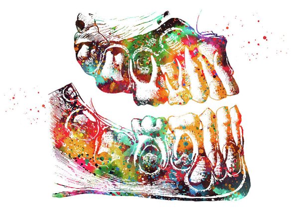 Зуб акварель