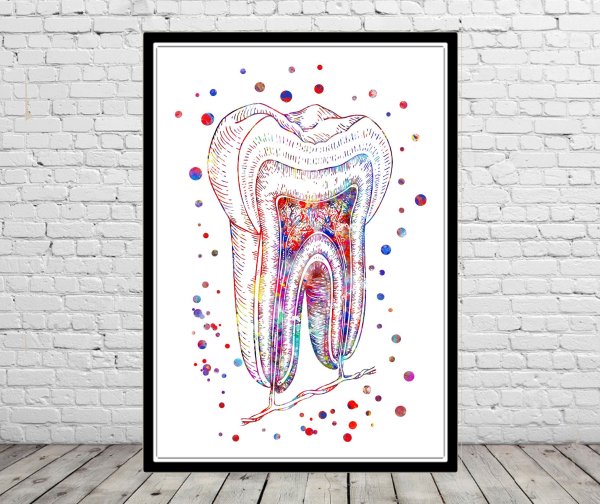 Зубы живопись