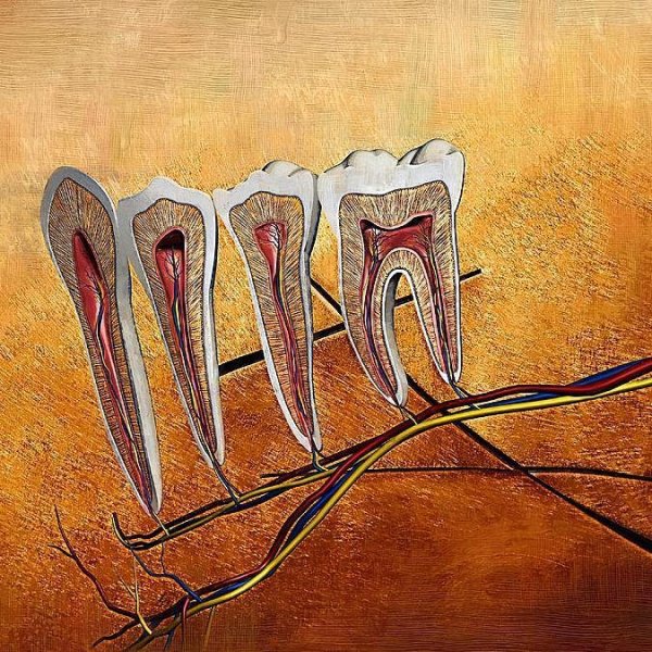 Зубы живопись