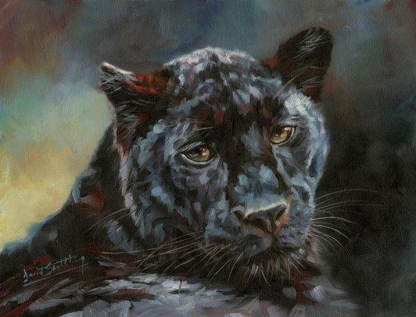 Дэвид Стрибблинг картины