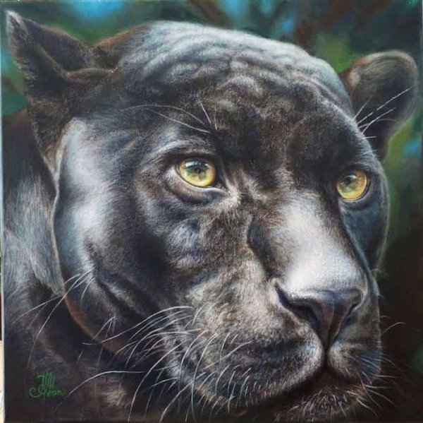 Пантера портрет