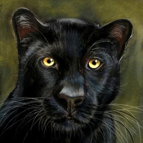 Пантера гуашью