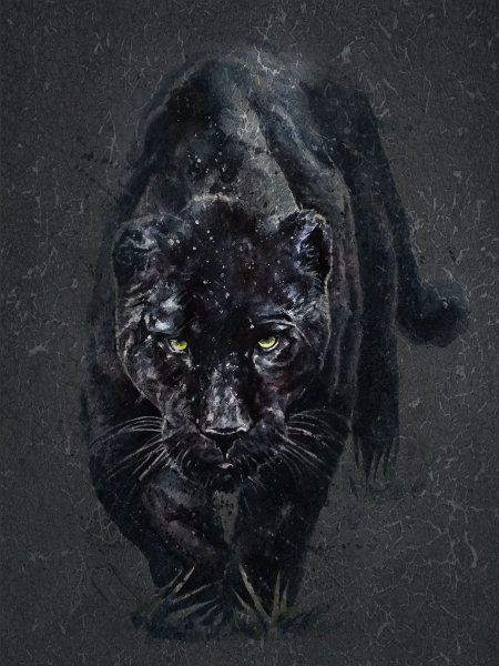 Черный Ягуар арт