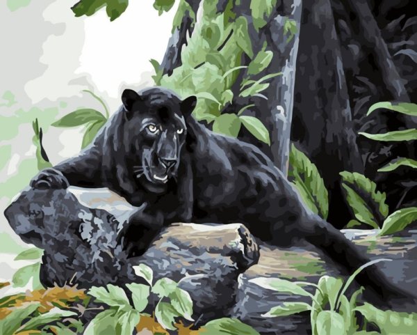 Картина по номерам черная пантера