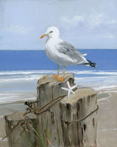 Чайки картина