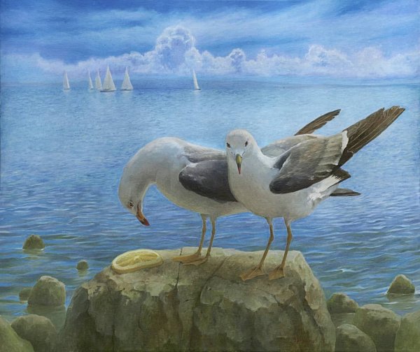 Пейзаж море Чайки