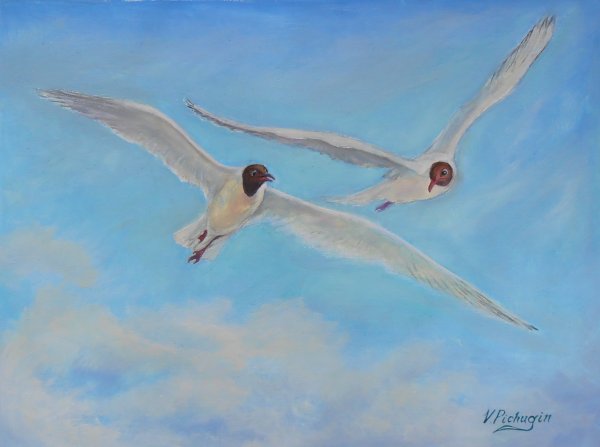 Чайка живопись