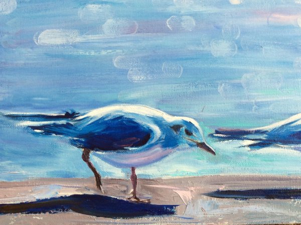 Чайки акрилом