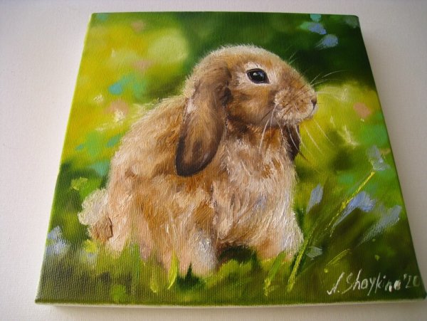 Зайчик картина маслом