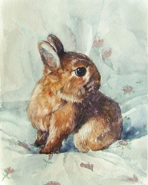 Зайчик живопись