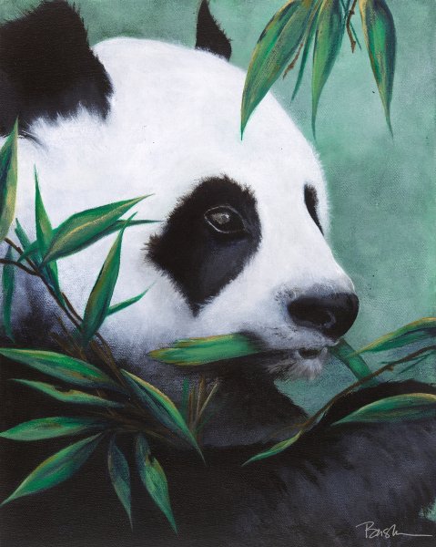 Панда акрилом