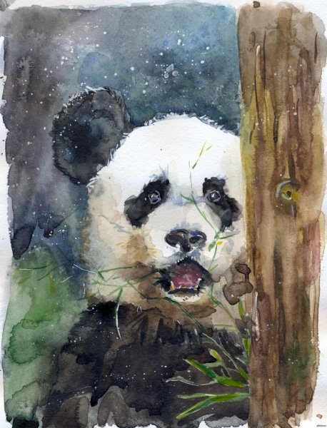 Панда акварелью