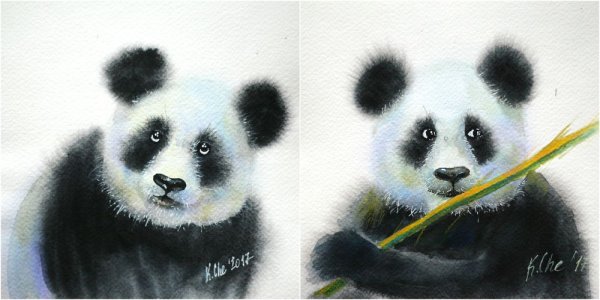 Мастер класс Панда акварелью