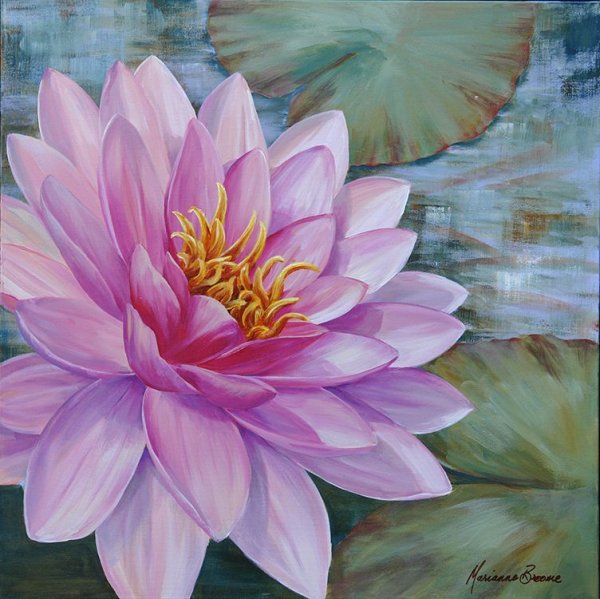 Марианна Брум пионы