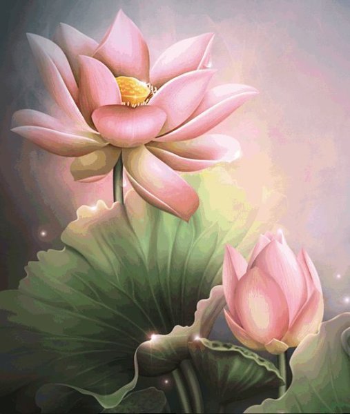 Картина Лотос