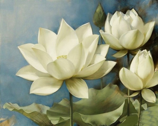 Игорь Левашов лилии