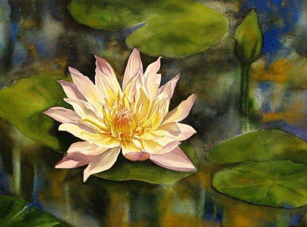 Волянаялилия акварелью