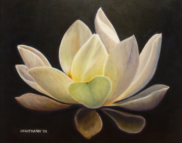 Лотос поталь