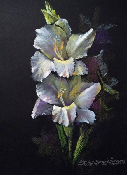 Сергей Андрияка гладиолусы