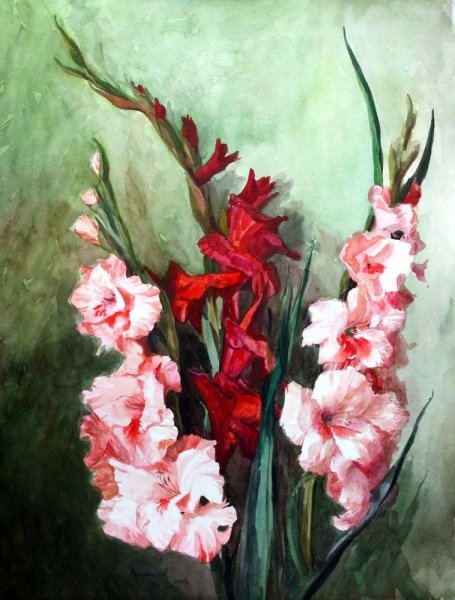 Red Gladiolus картина