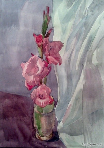 Ирисы. Гладиолусы. Астры