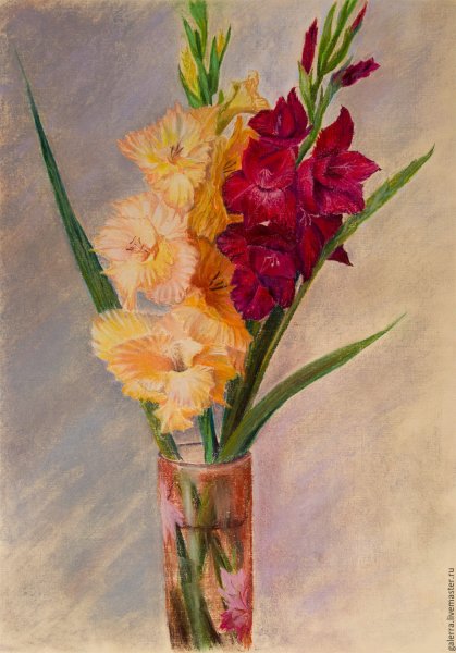 Гладиолус акварель Андрияки