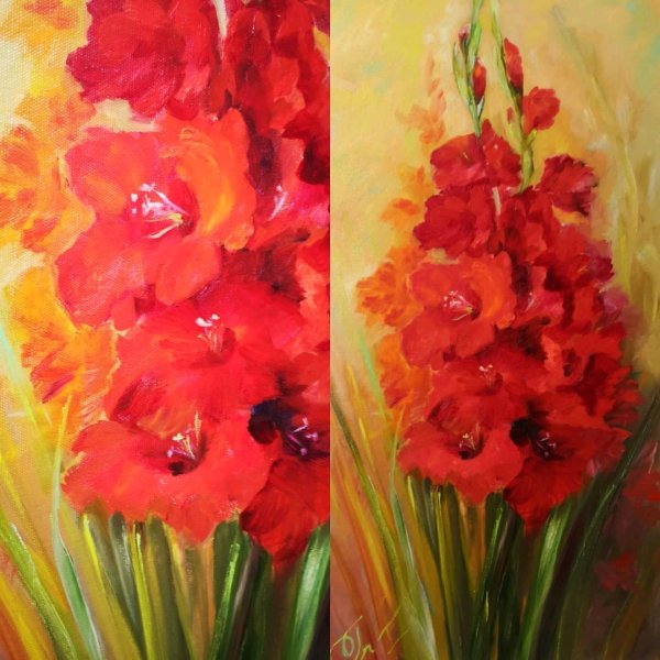 Гладиолус цветок акварелью