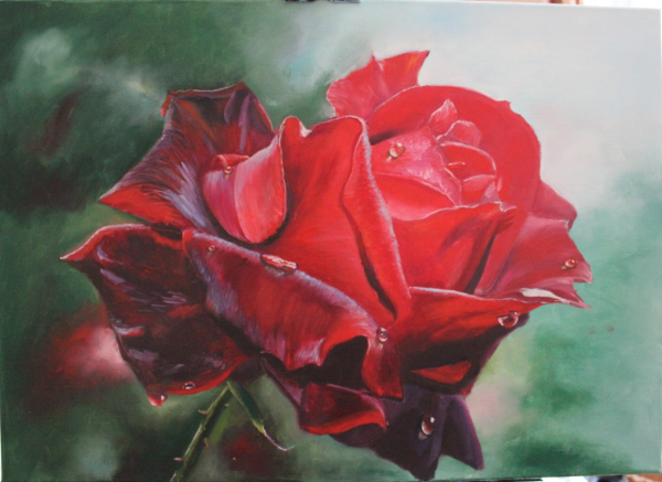 Красные розы живопись маслом