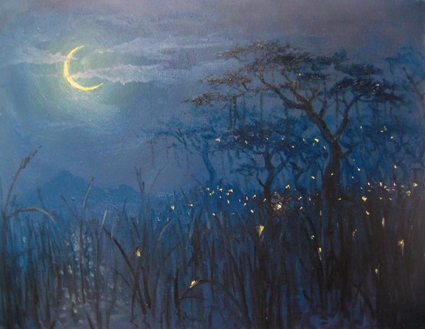 Живопись ночка