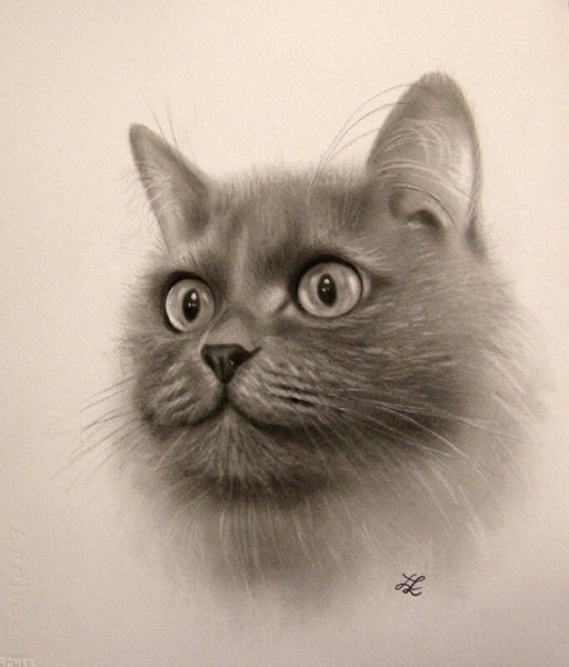 Техника сухая кисть